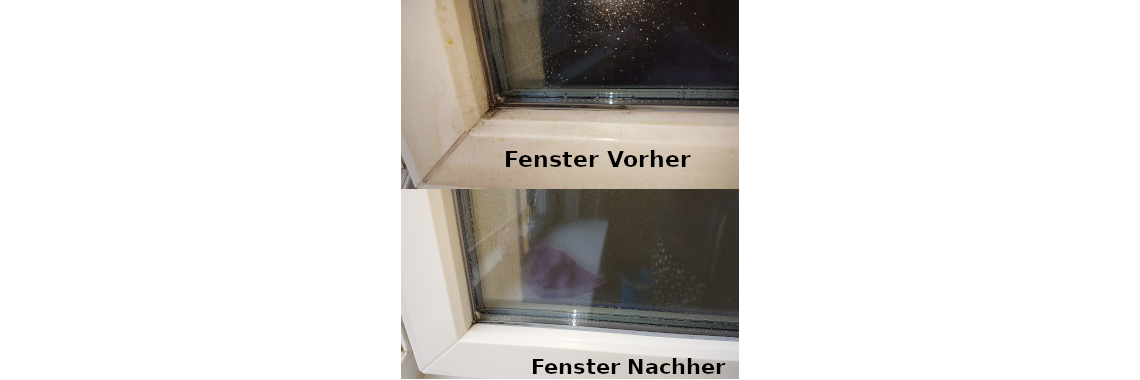 Fenster 1